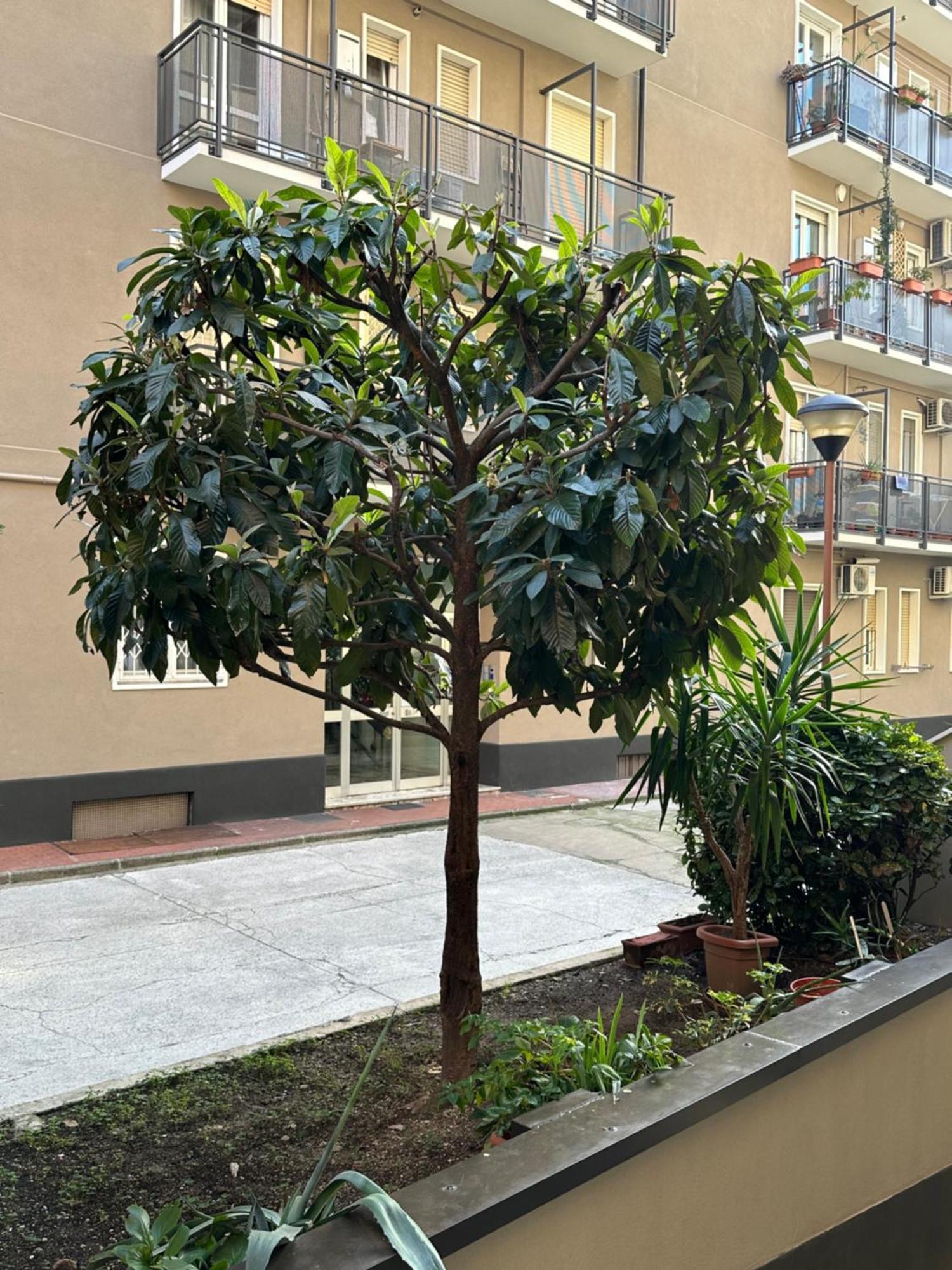 Nolo62, A Nifty Flat In Milan Apartment Екстериор снимка